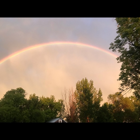 Meet your Posher, Lisa - Picture 5 of 8